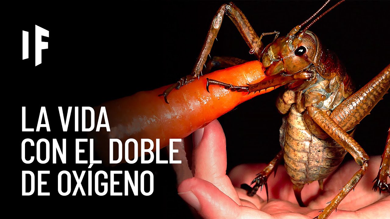 El aumento de oxígeno en la Tierra: impacto en la vida, química y evolución