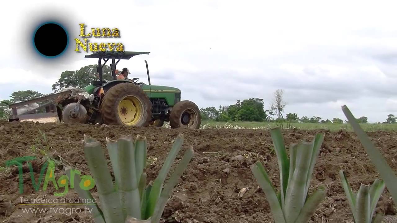 Los beneficios de la luna nueva para tu salud y bienestar