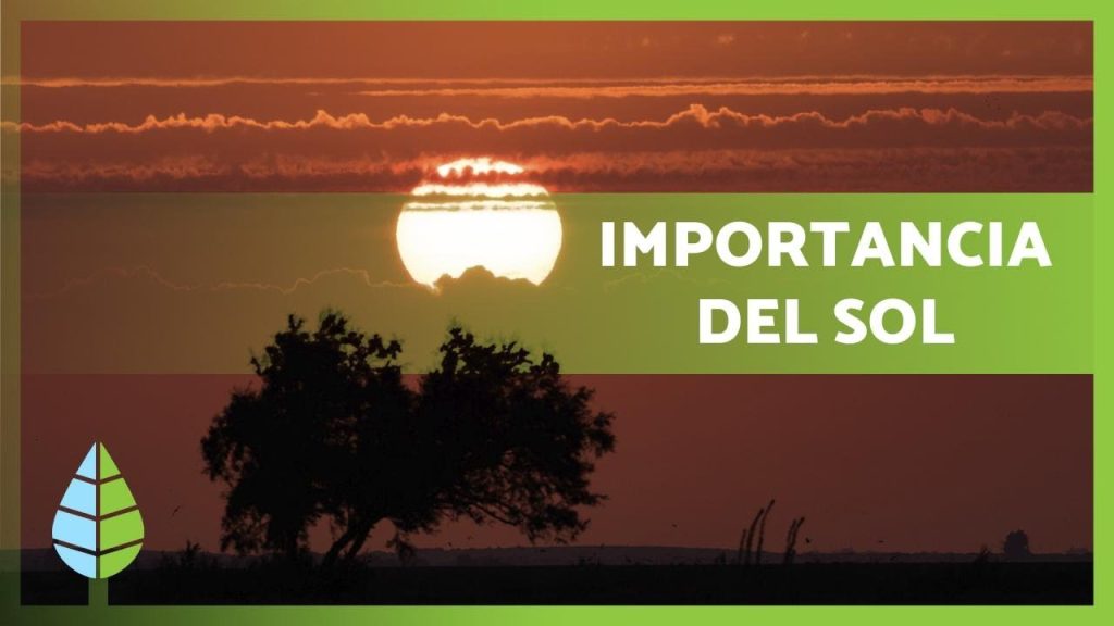 Importancia del Sol para la Vida en el Planeta