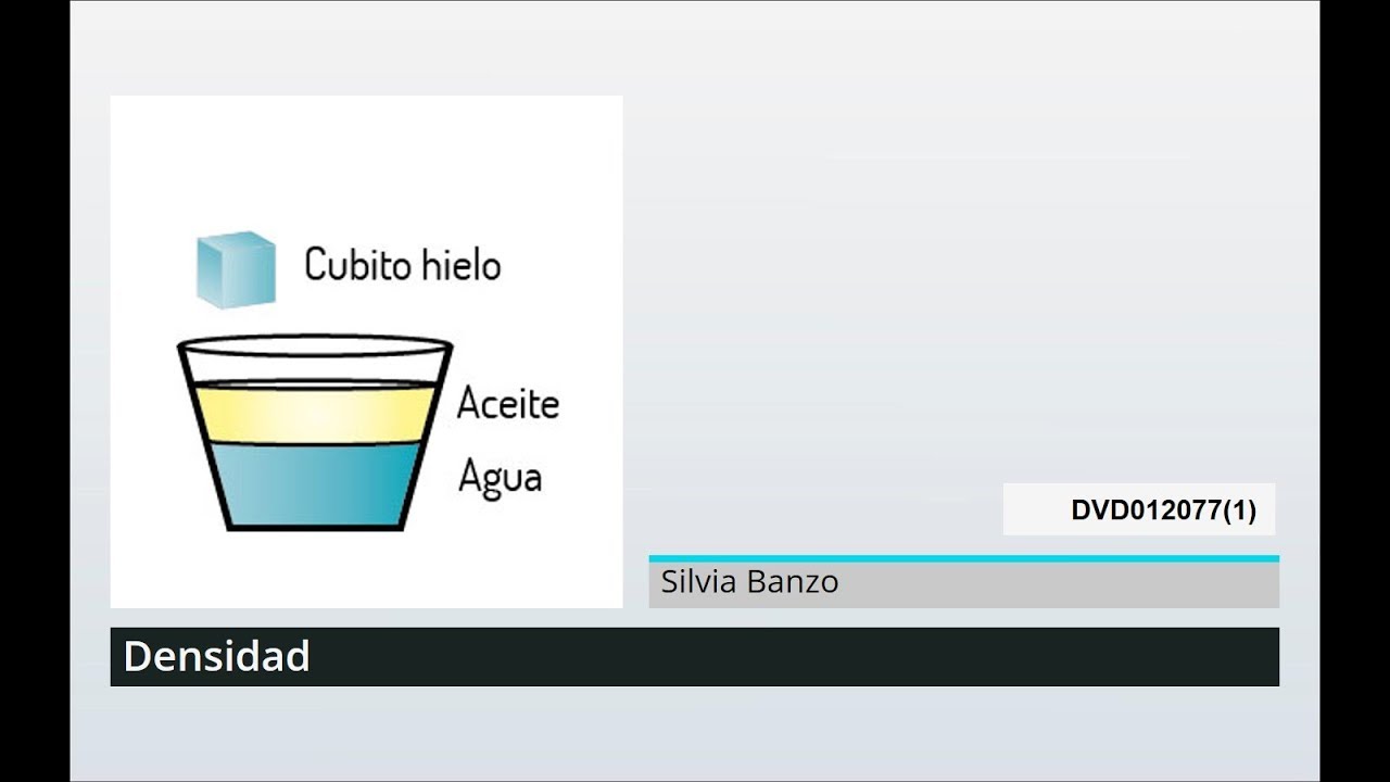 La ciencia detrás de la flotabilidad: factores clave para entender por qué flotamos en el agua