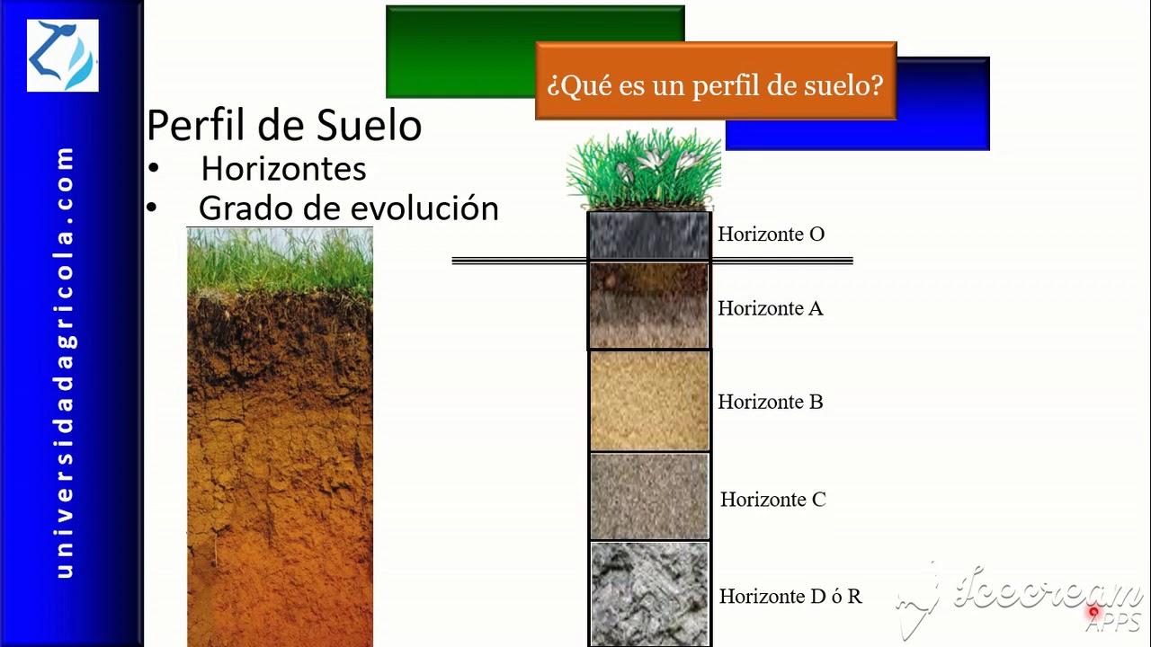 Los horizontes del suelo y su importancia en la conservación del suelo