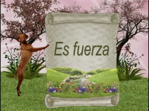Desarrollando cualidades positivas para una vida más plena